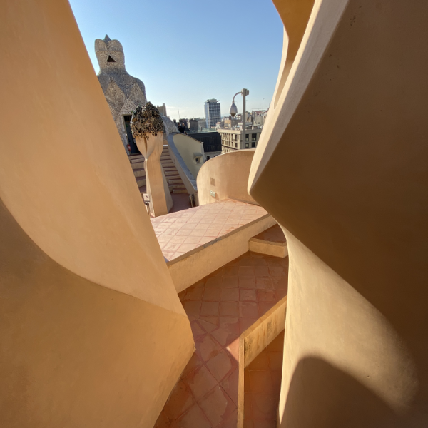 La Pedrera Roof