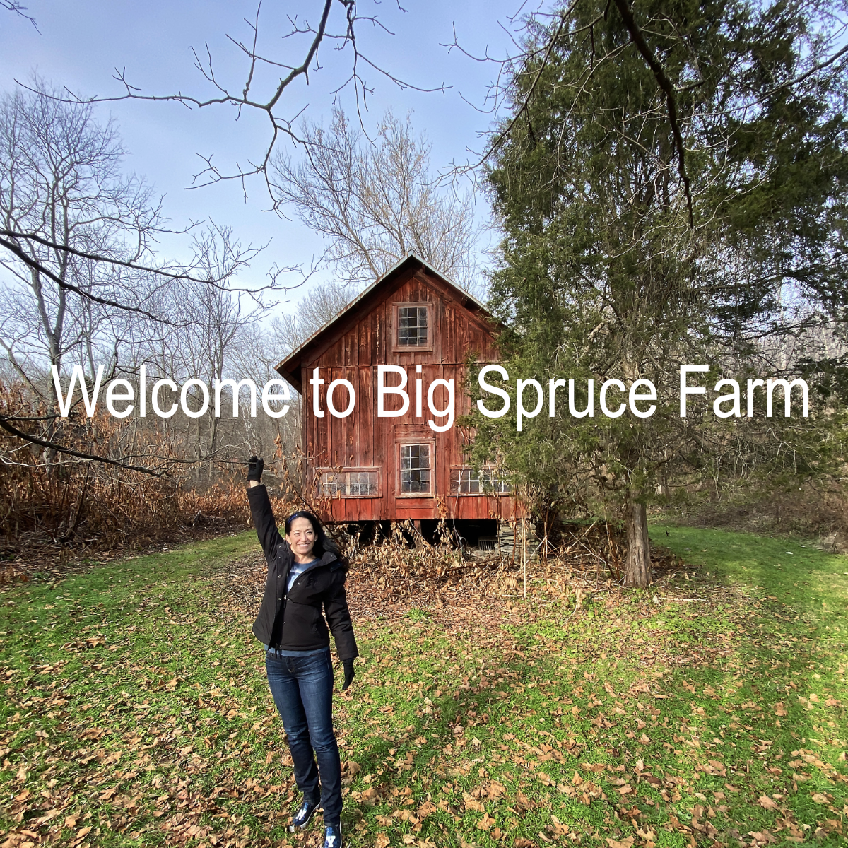 BigSpruceFarm